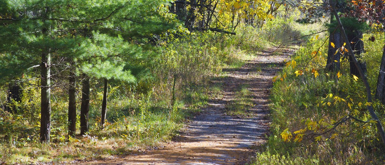 I80 Best Road Trip from Chicago to Cleveland